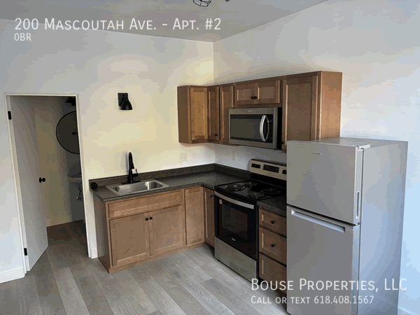 200 Mascoutah Ave #2 - Photo 3 of 4