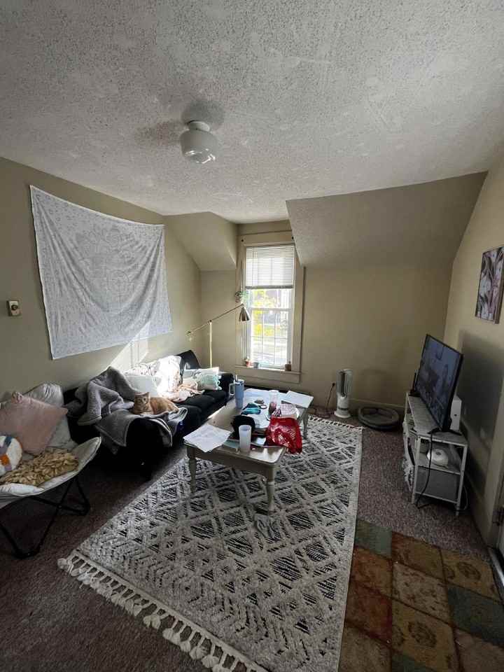 516 1/2 Hudson St - Photo 3 of 13
