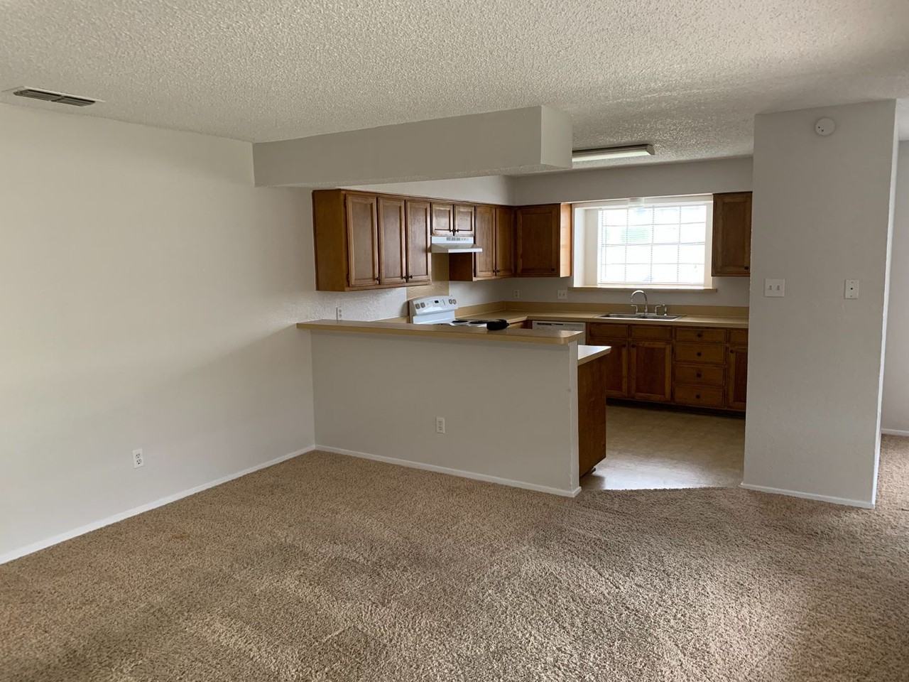 305 Shady Valley Dr - Photo 3 of 6