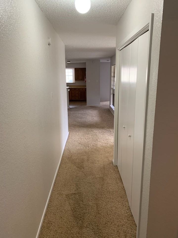 305 Shady Valley Dr - Photo 4 of 6