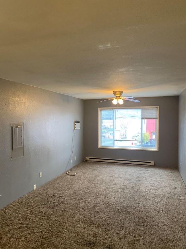 1217 W Woodin Ave - Photo 2 of 4