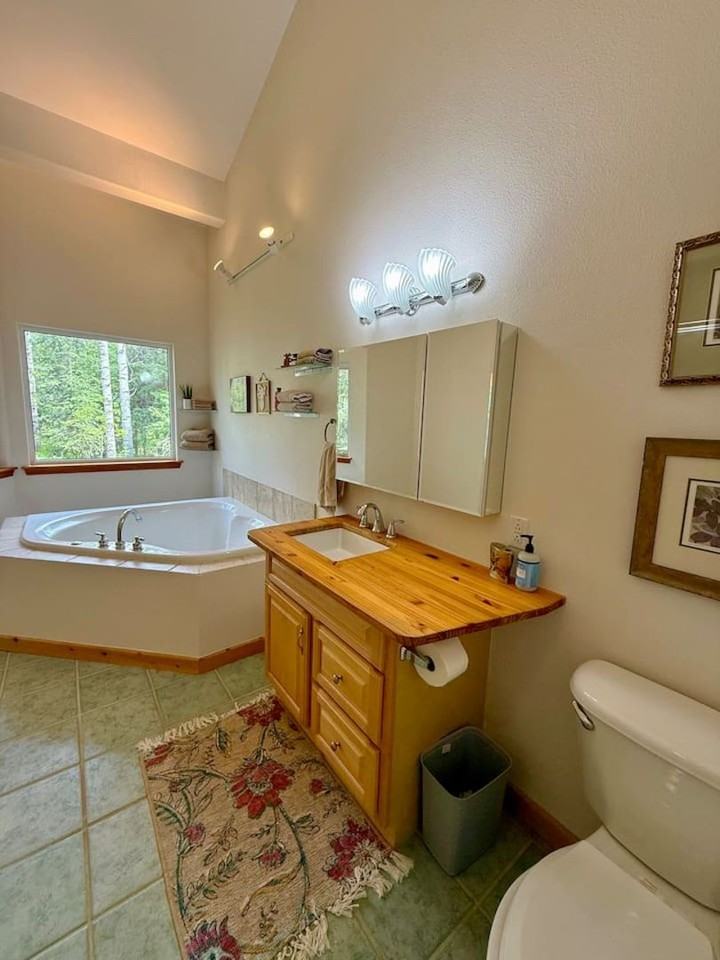 34385 STR- 34385 E Quartz Creek Road - Photo 7 of 17