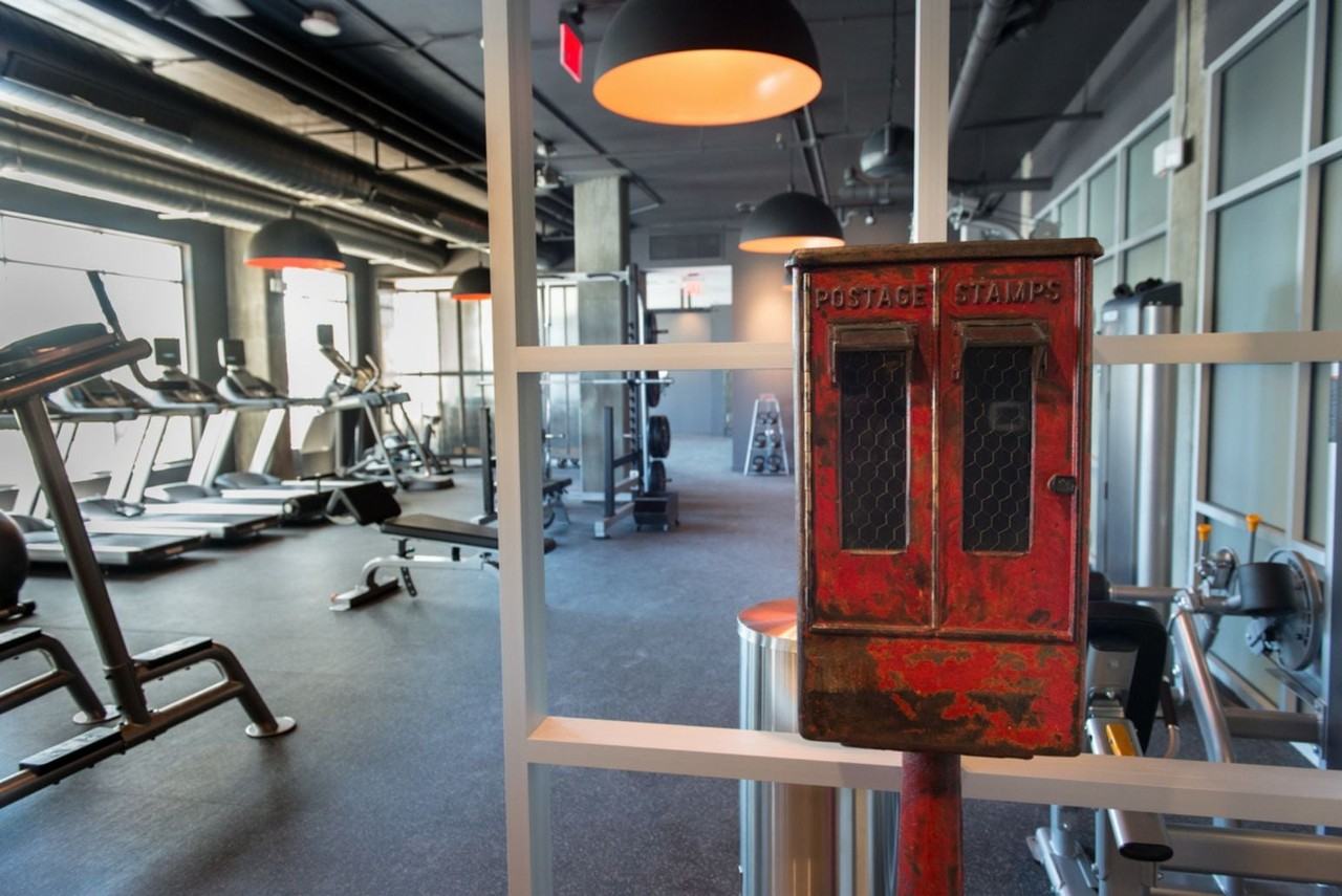 The Shelby - Photo 6 of 25