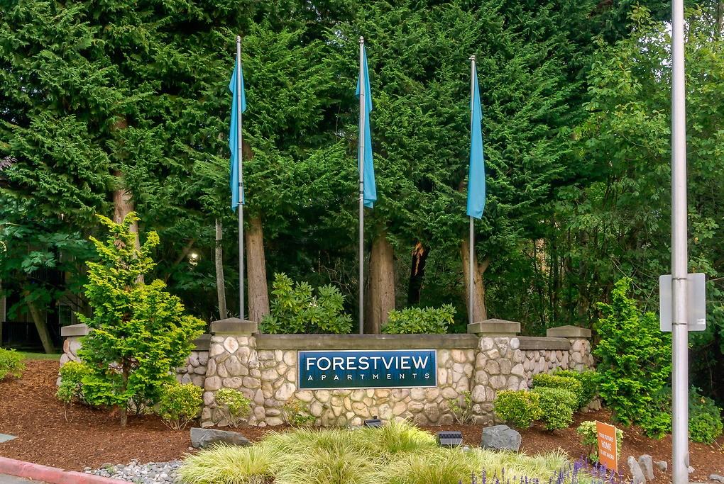 Forestview - Photo 6 of 30