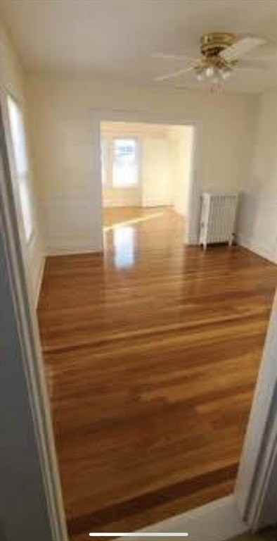 7 Morse St #1 - Photo 6 of 11