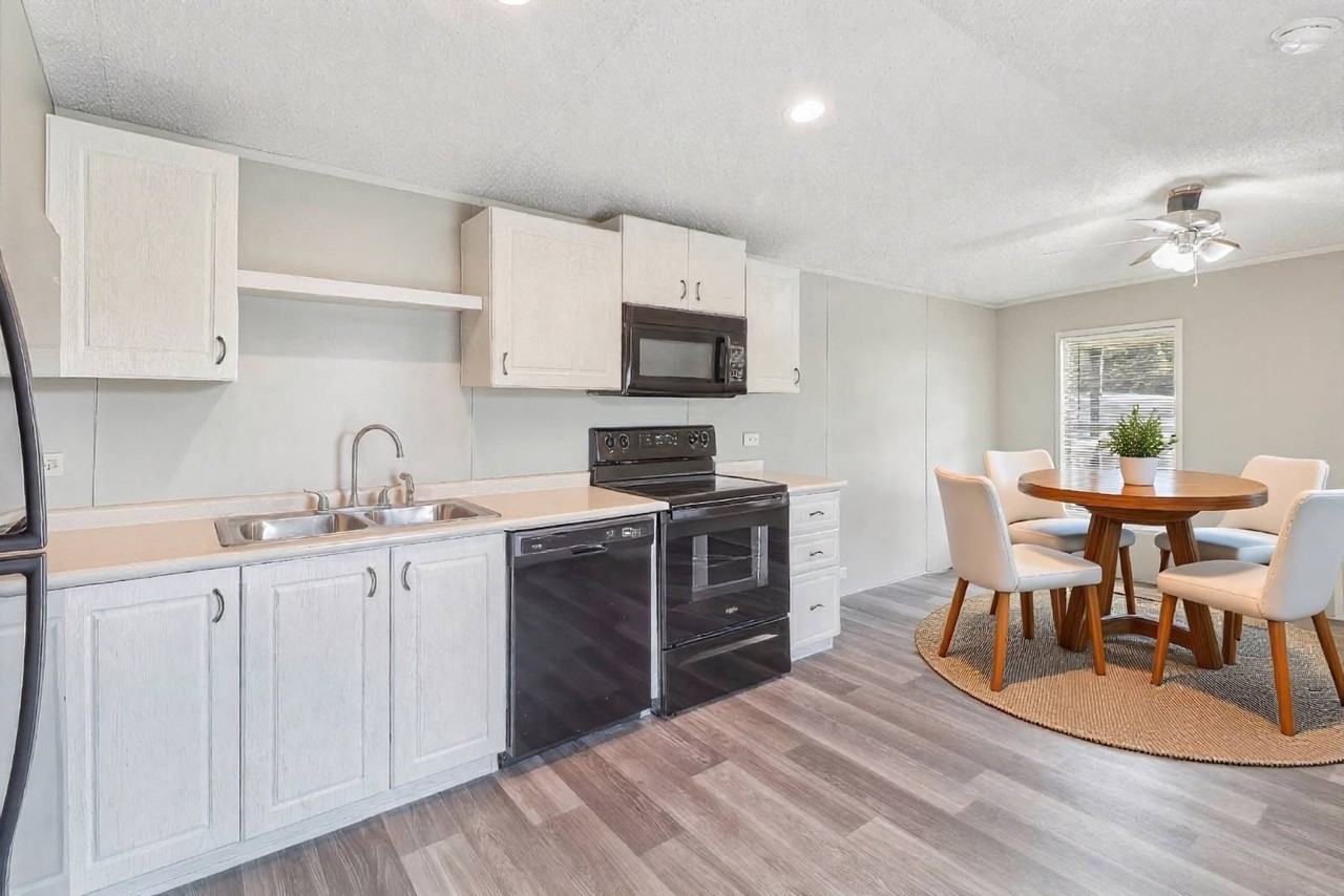 10480 Sunny Meadows Blvd - Photo 4 of 11