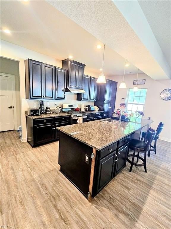 229 Republic Ln - Photo 7 of 32