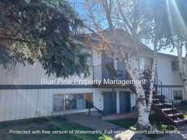 featured image of 1474 Benton St #8