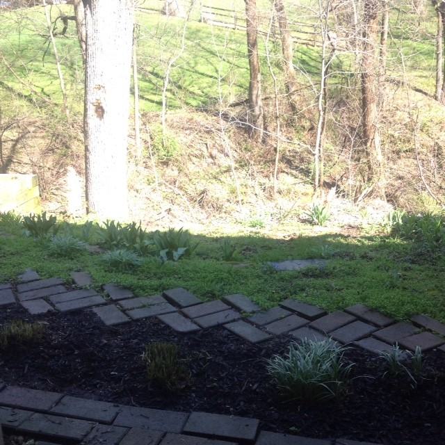 5588 Talbot Ct - Photo 3 of 20