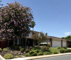 featured image of 1819 Yolanda Cir #NA