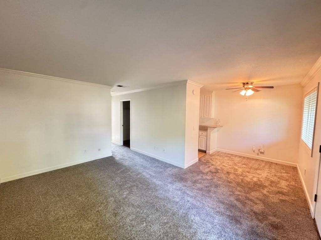 356 Robinson St #32 - Photo 4 of 14