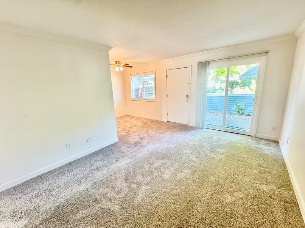 356 Robinson St #32 - Photo 5 of 14