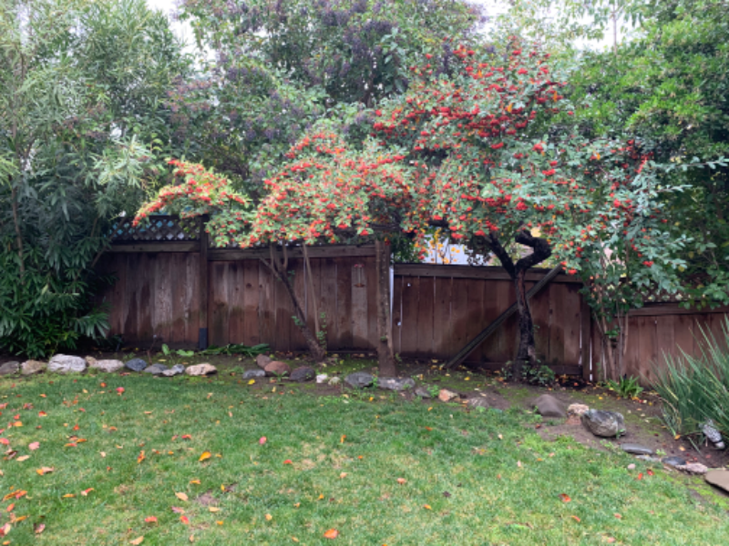 1234 Overlook Dr - Photo 3 of 11