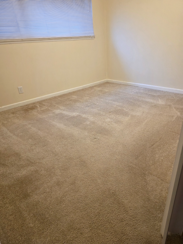 2349 W Newton St #302 - Photo 2 of 16