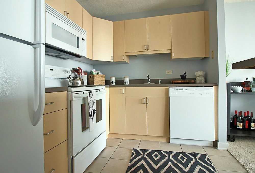 1209 S Michigan Ave #1106 - Photo 2 of 20