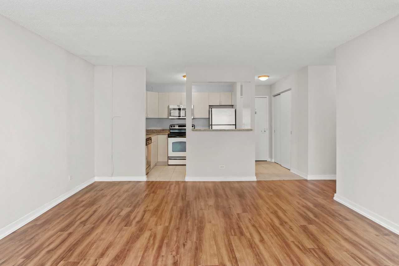 1209 S Michigan Ave #1106 - Photo 4 of 20
