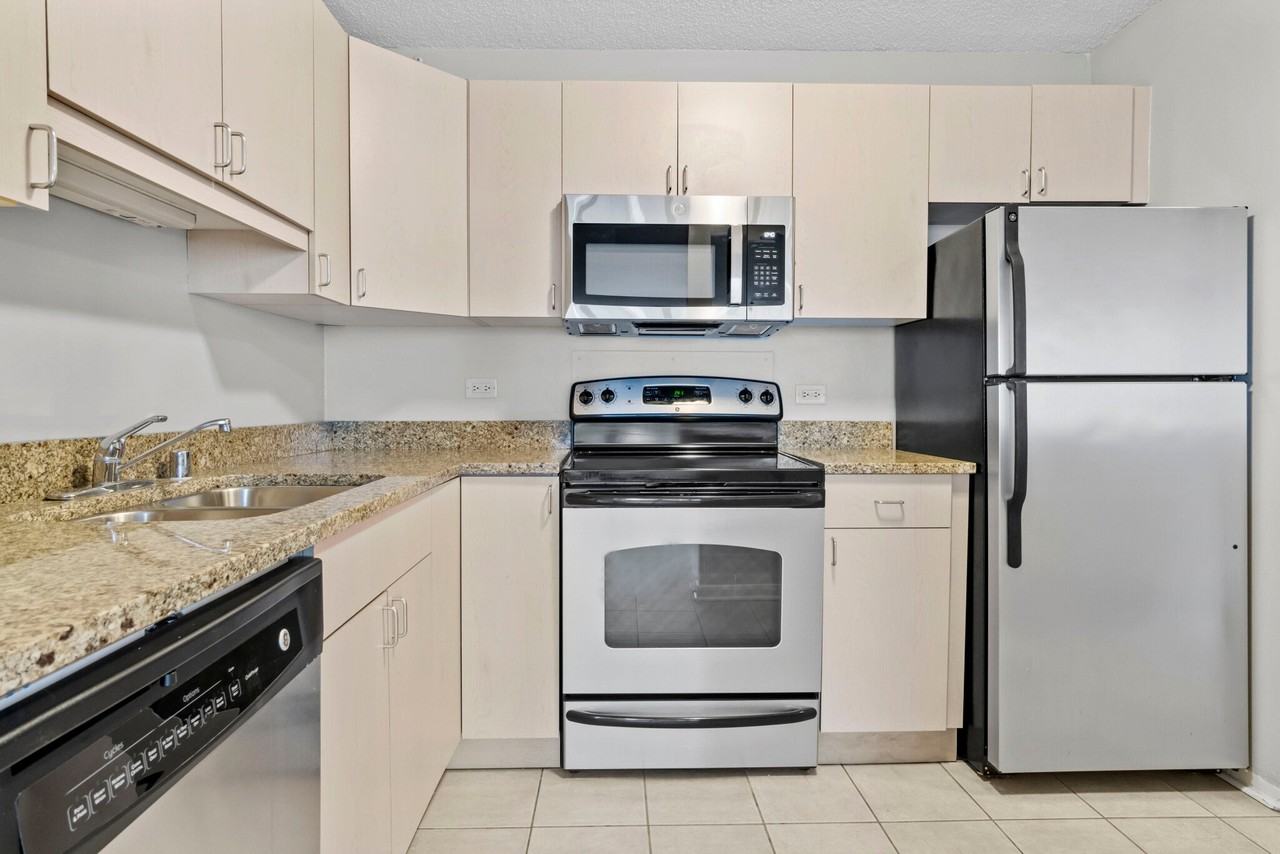 1209 S Michigan Ave #1106 - Photo 5 of 20