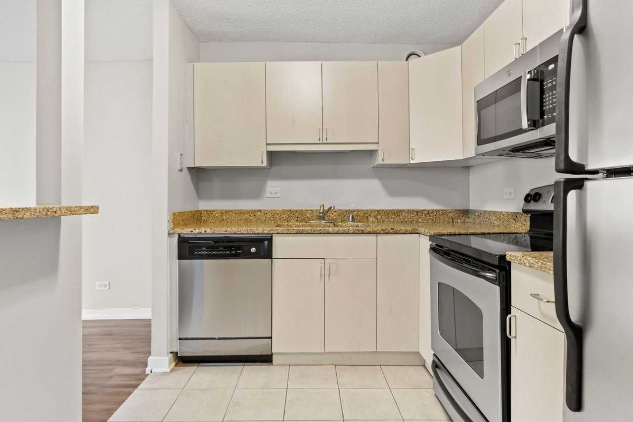 1209 S Michigan Ave #1106 - Photo 6 of 20