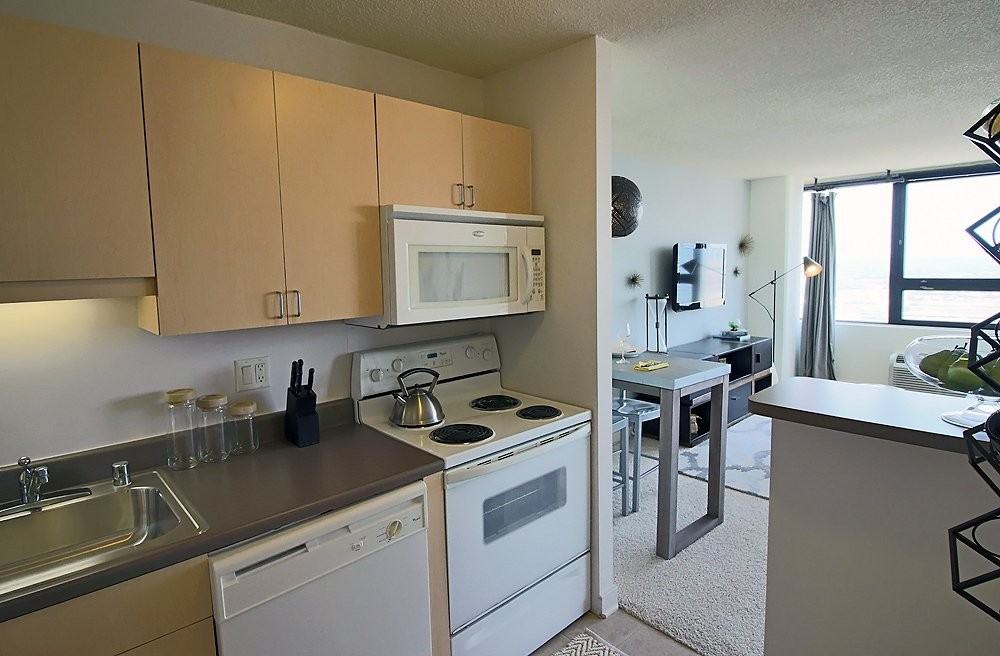 1209 S Michigan Ave #1106 - Photo 7 of 20