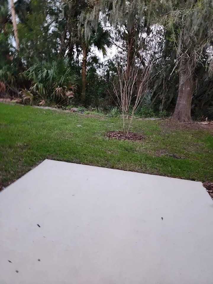 2385 Carrabelle Way - Photo 5 of 24