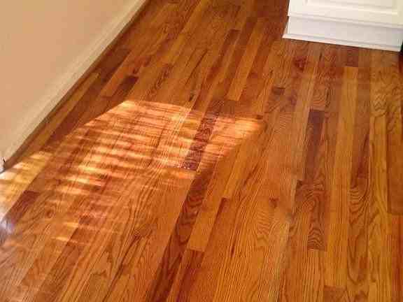 2187 Gulf Dr - Photo 7 of 19