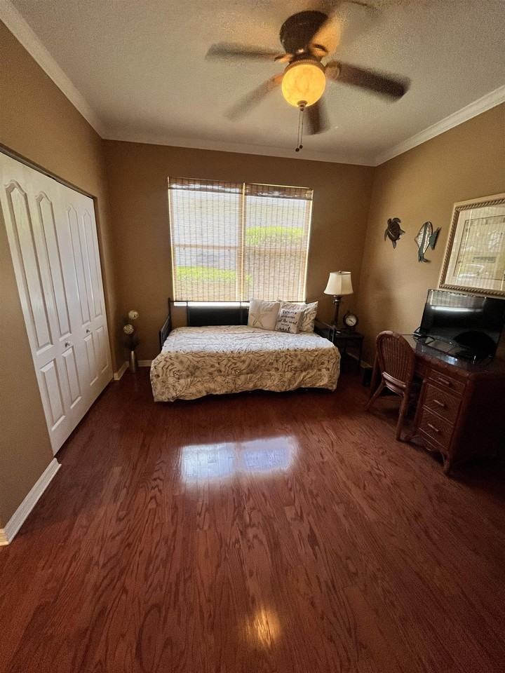 613 Casa Fuerta Ln - Photo 6 of 24