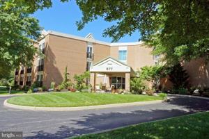 featured image of 677 Elm St #108