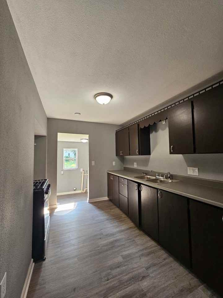 1038 E Division St - Photo 5 of 17