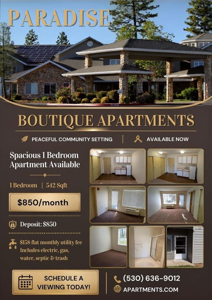 Paradise Boutique Apartments - Photo 6 of 47