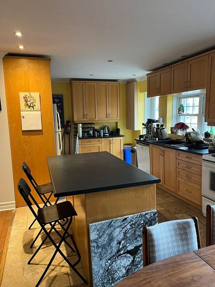 4367 Rue Saint-Antoine Ouest - Photo 3 of 8