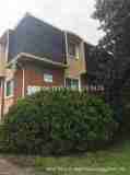 430 Sumner St #203A - Photo 1 of 1