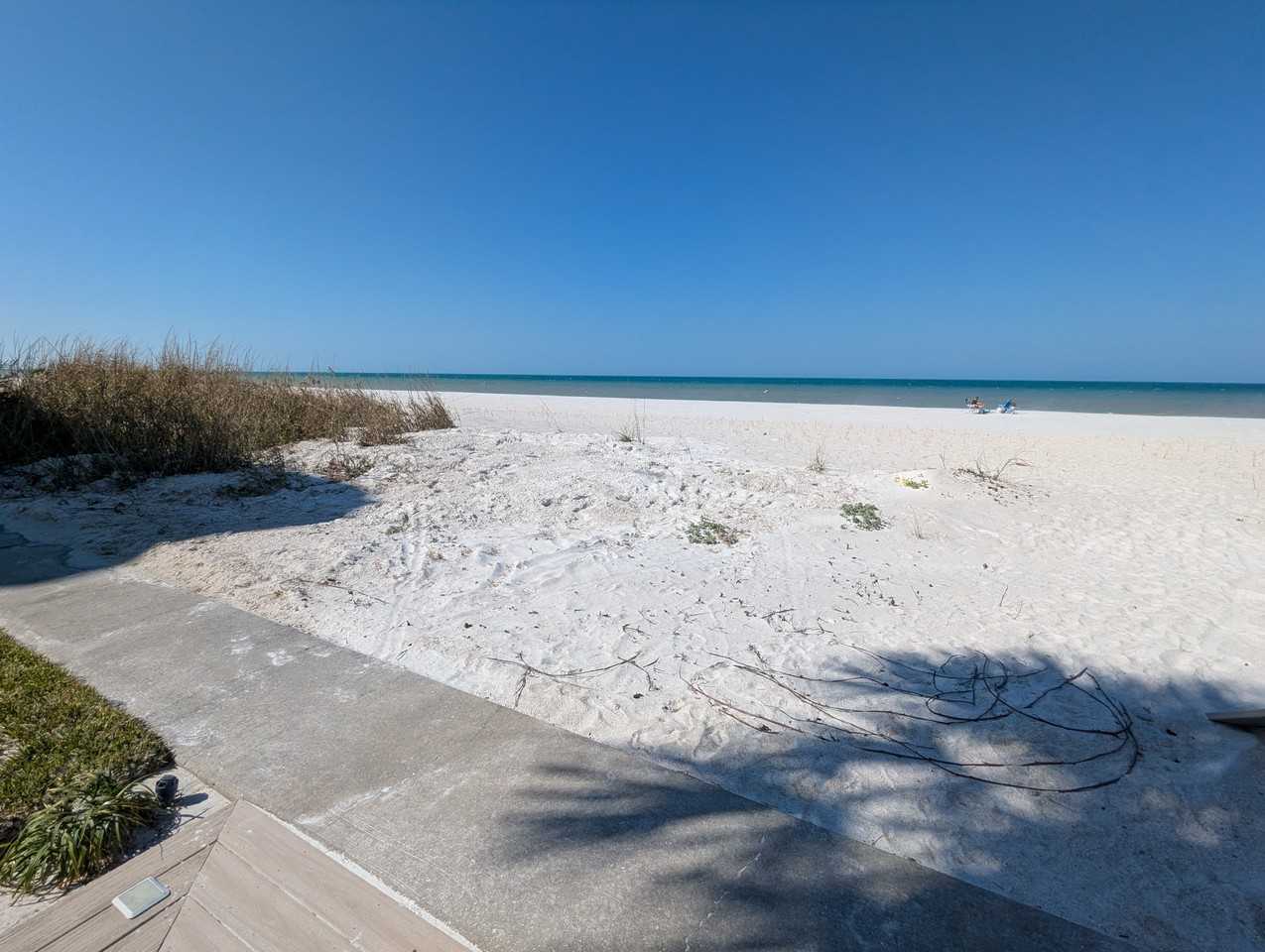 1400 Gulf Blvd #2B - Photo 4 of 28