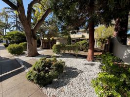 featured image of 3630 Lupine Ave