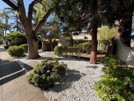 3630 Lupine Ave - Photo 1 of 1