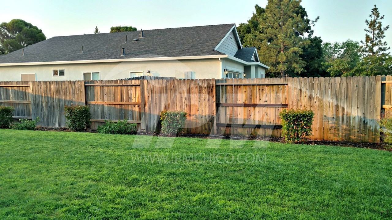 1271 Whitewood Way - Photo 6 of 15