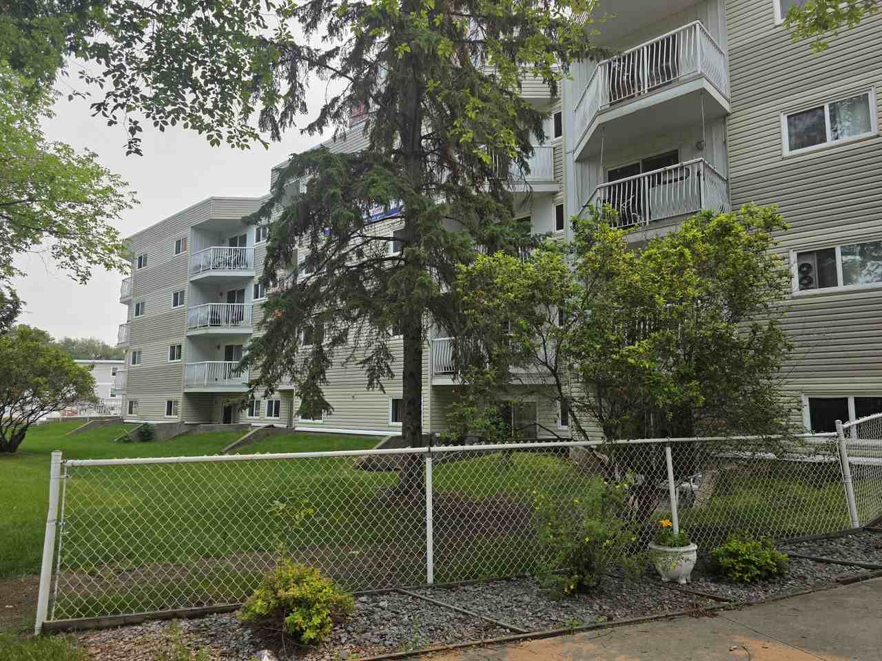 Fairview Palace - Photo 5 of 11
