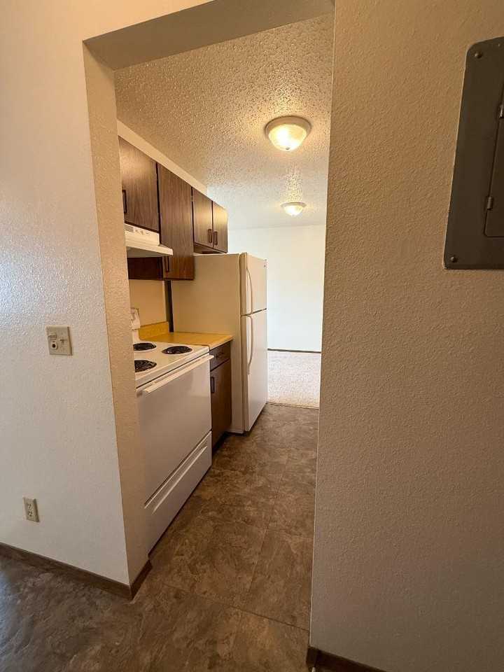 931 W Jackson Blvd - Photo 4 of 21