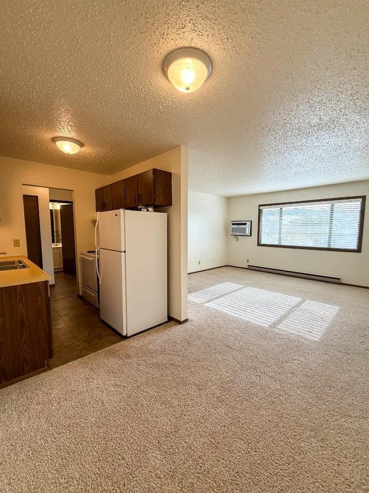 931 W Jackson Blvd - Photo 6 of 21