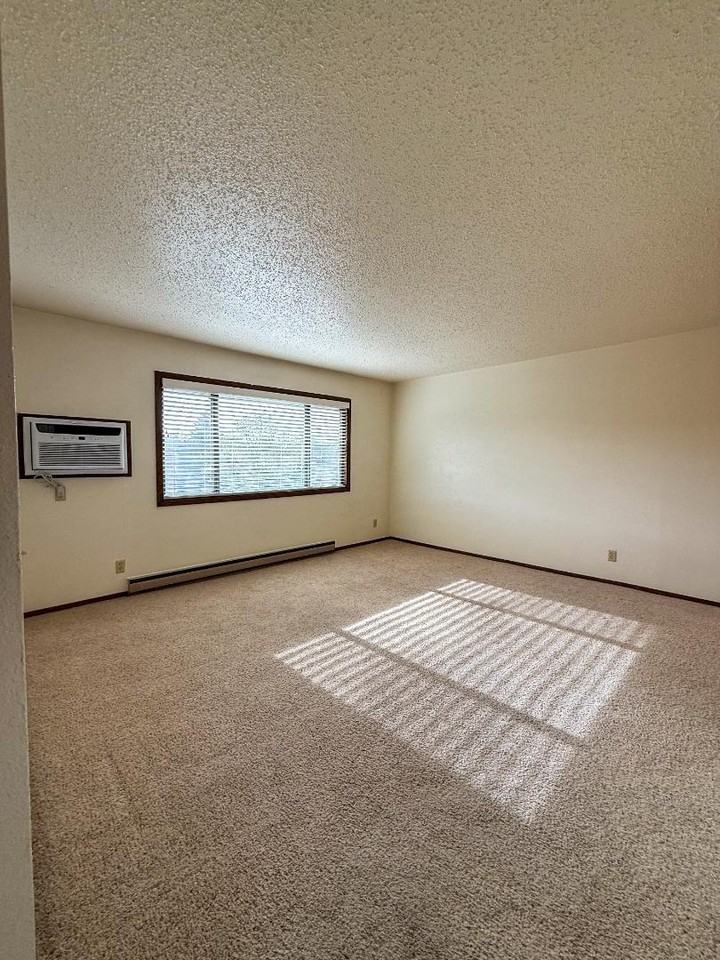 931 W Jackson Blvd - Photo 7 of 21