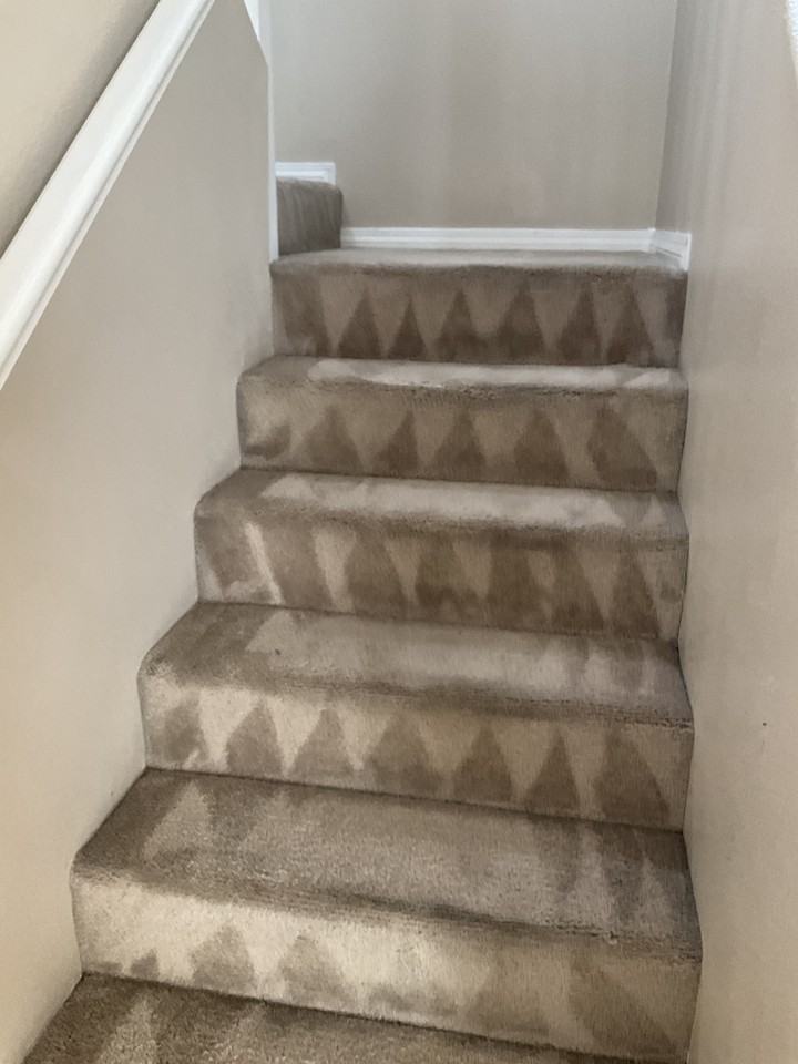 7308 Laburnum St #1 - Photo 5 of 20