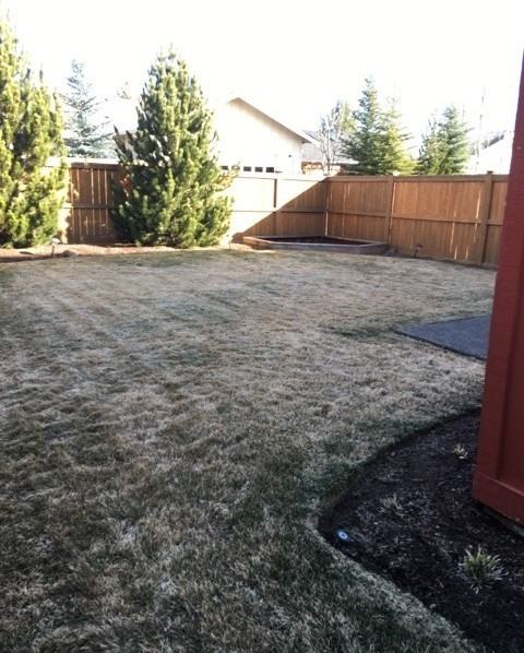20642 Songbird Ln - Photo 3 of 19