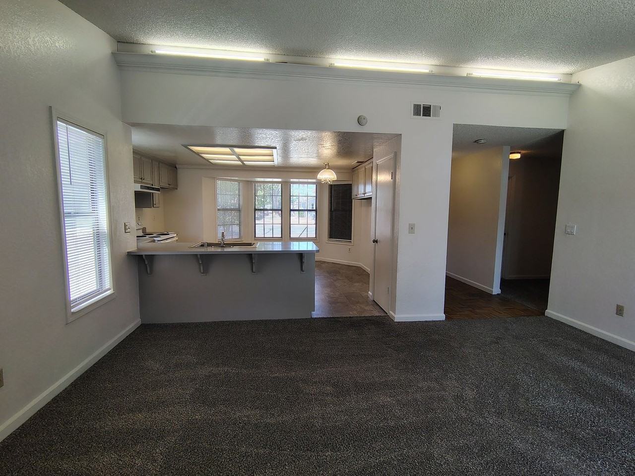 932 Inez Dr - Photo 4 of 14