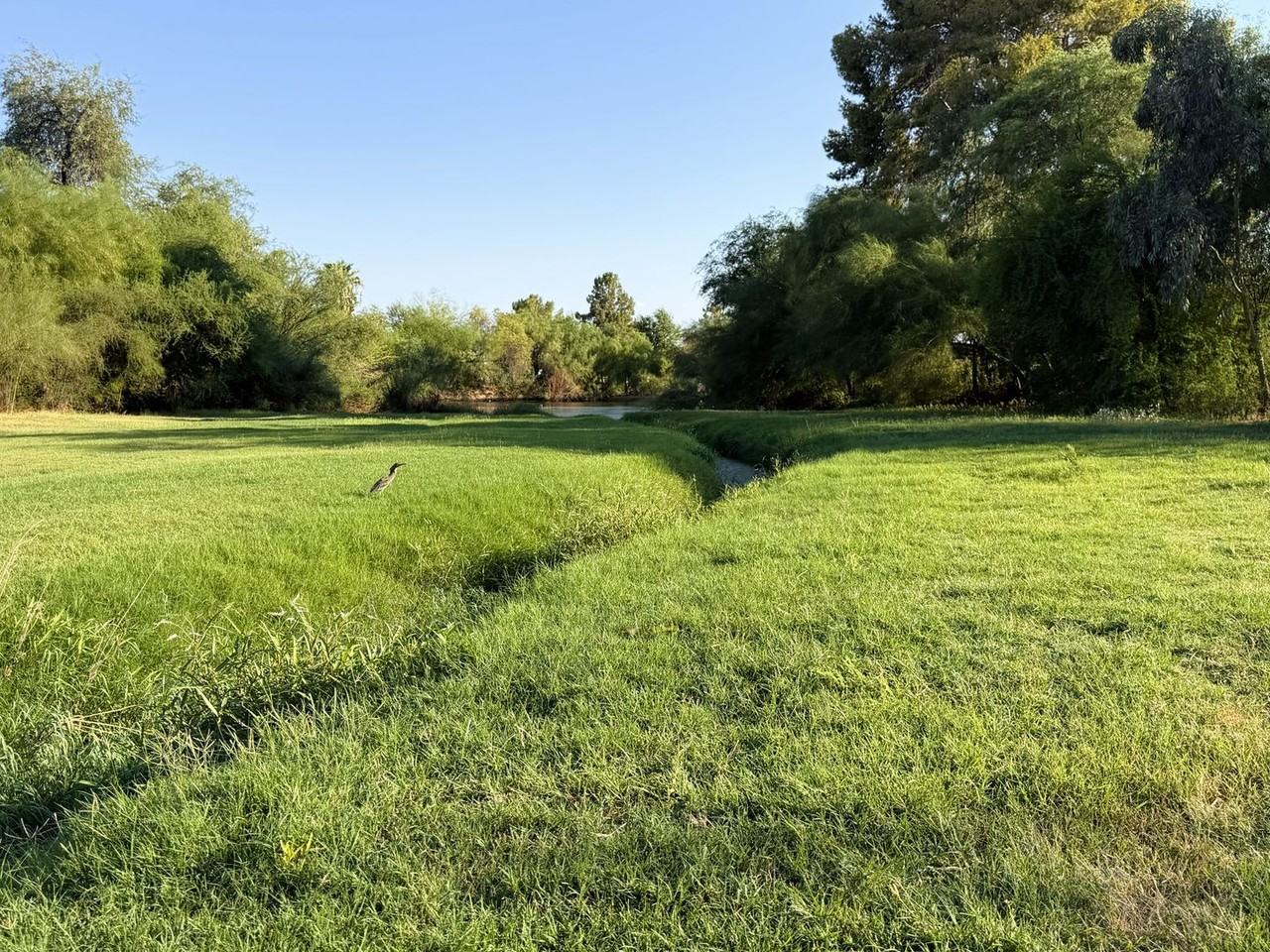 7808 E Heatherbrae Ave #A - Photo 5 of 13
