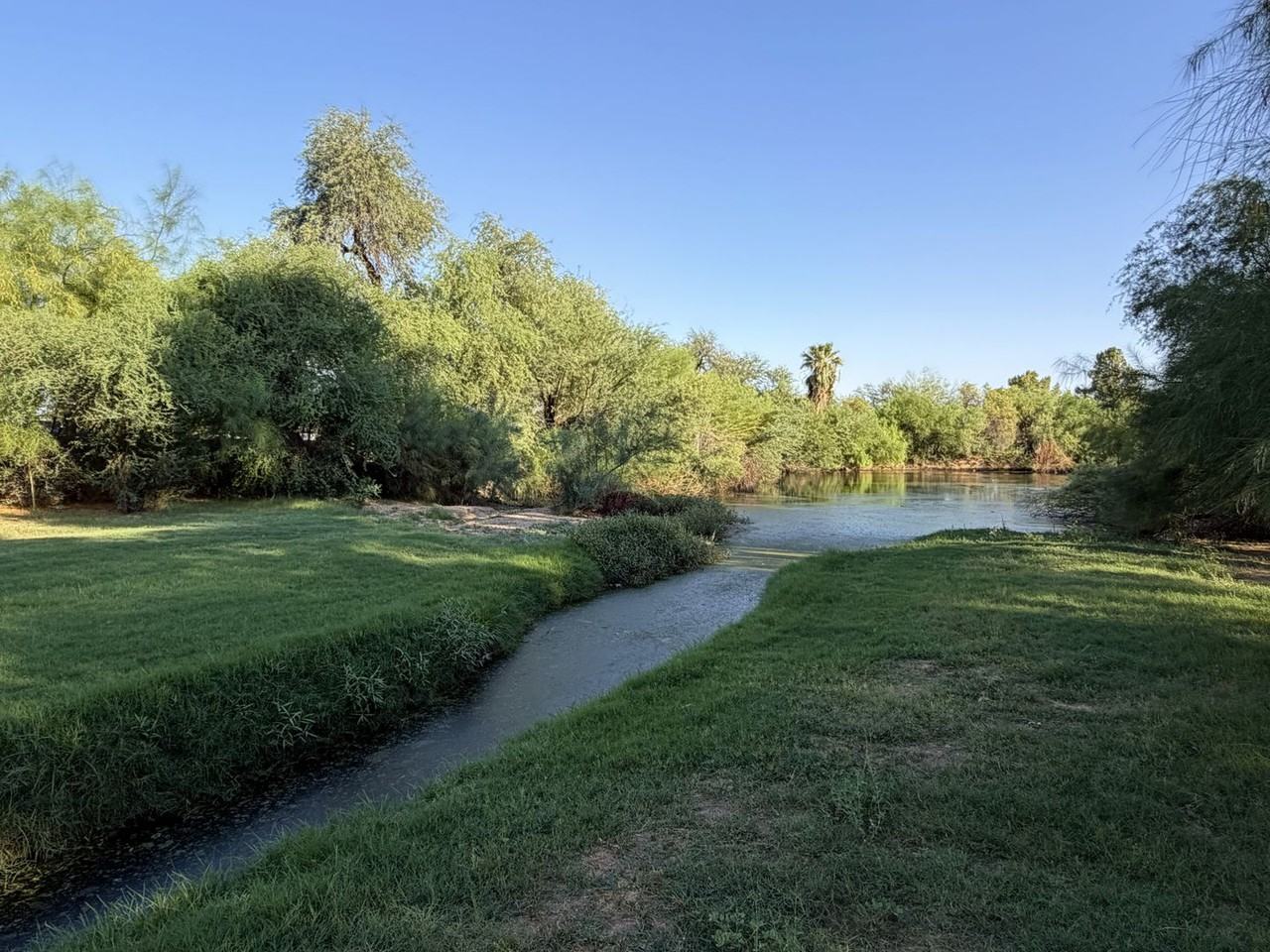 7808 E Heatherbrae Ave #A - Photo 6 of 13