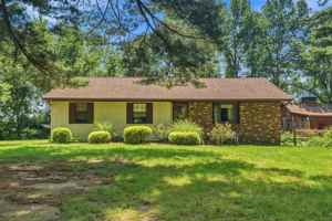 featured image of 41 Prospect Gdns