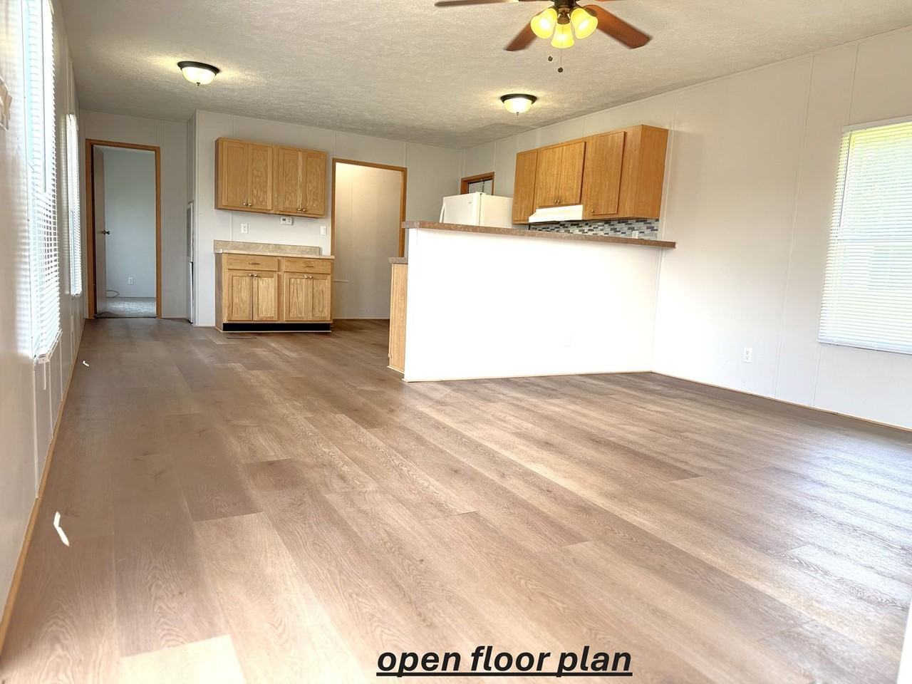 3337 Clear Springs Way - Photo 5 of 16