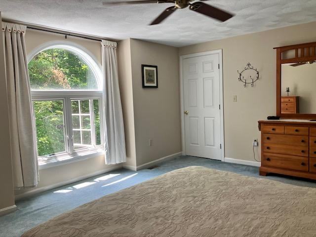 28 Antler Ct #28 - Photo 4 of 12