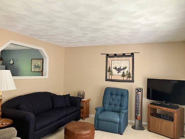 28 Antler Ct #28 - Photo 6 of 12