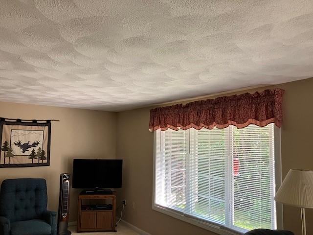 28 Antler Ct #28 - Photo 7 of 12