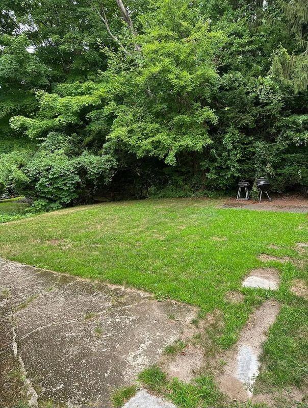 178 Peach Orchard Rd - Photo 4 of 13
